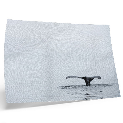 Poster kunstdruck Walflossenflosse über Wasser Minimalismus Harmonie