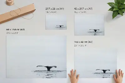 Kunstdruck Walflossen minimalistisches Motiv mit Walflosse über Wasser für Harmonie im Raum