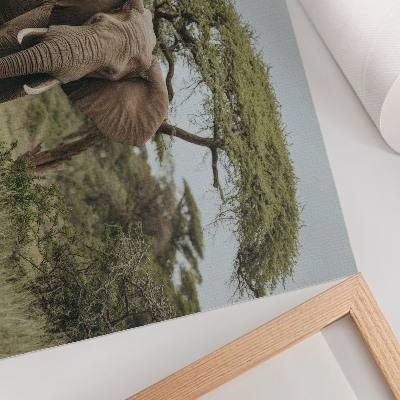Poster kunstdruck Ein Elefant vor dem Hintergrund einer grünen Savanne