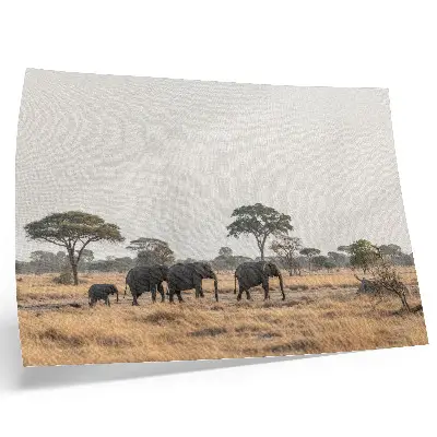 Kunstdruck Elefanten in der afrikanischen Savanne zwischen den Bäumen