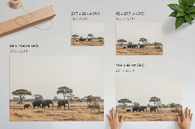 Poster kunstdruck Elefanten in der afrikanischen Savanne zwischen den Bäumen