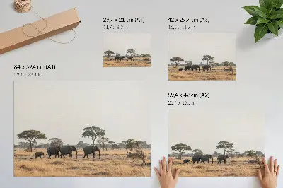 Kunstdruck Elefanten in der afrikanischen Savanne zwischen den Bäumen