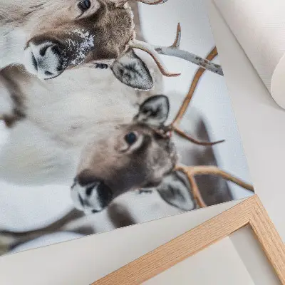 Poster Kunstdruck Rentiere mit natürlichem Geweih in einer harmonischen Winterlandschaft