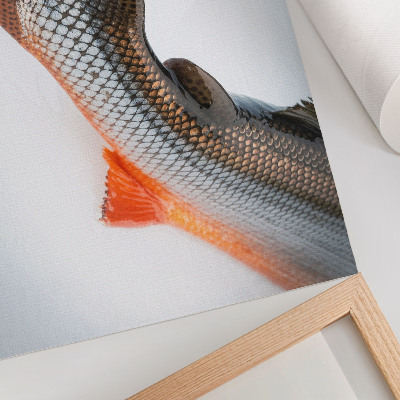 Kunstdruck poster Natürliche Schuppen und dynamische Farben in Nahaufnahme