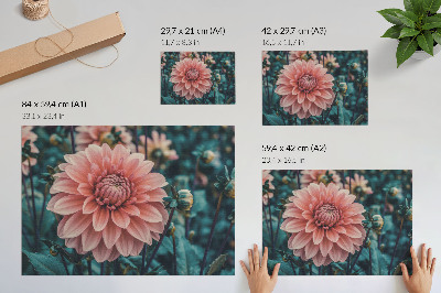 Poster Moderne Komposition aus rosa Dahlie und grünen Blättern