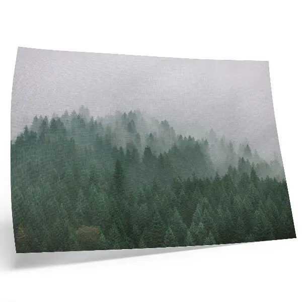 Poster nebliges Waldpanorama in Grün- und Grautönen