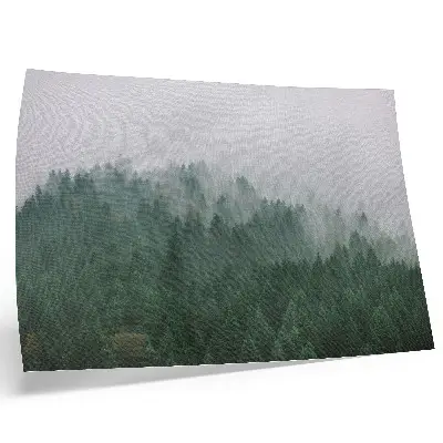 Poster nebliges Waldpanorama in Grün- und Grautönen