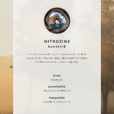 Poster Ein nebliges Panorama eines Waldes voller Grün und Grau