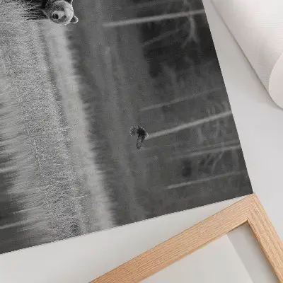 Bär am Wasser Kunstdruck in Schwarz-Weiß-Atmosphäre