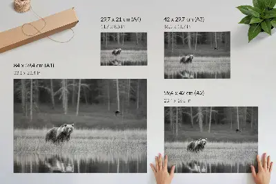 Bär am Wasser Kunstdruck in Schwarz-Weiß-Atmosphäre