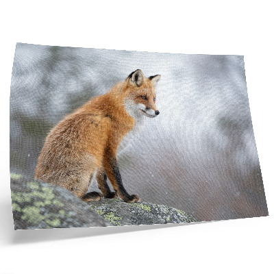 Poster Fuchs in der Winterlandschaft, sanfte Ruhe der Natur