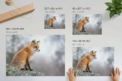 Poster Fuchs in der Winterlandschaft mit sanfter Ruhe der Natur