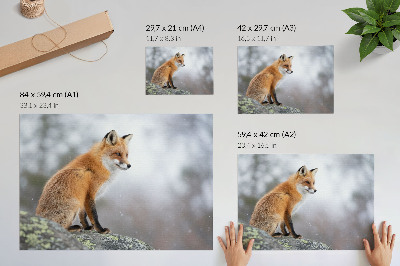 Poster Fuchs in der Winterlandschaft, sanfte Ruhe der Natur