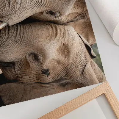 Kunstdruck Poster zwei große Elefanten nah beieinander in warmen Schatten