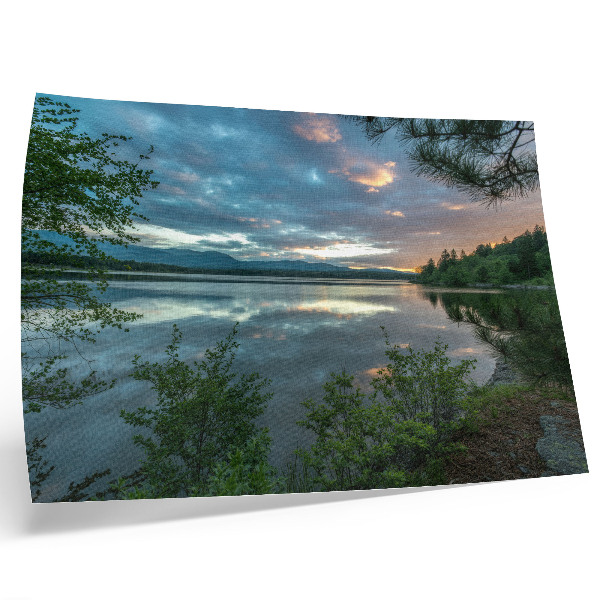Poster Spiegelungen im See, grüner Himmel, Bäume, Ruhe