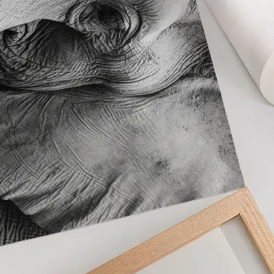Kunstdruck Poster mit minimalistischem Design von Elefantendetails in Schwarz-Weiß