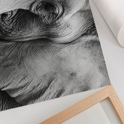 Poster kunstdruck Monochrome Elefantendetails Minimalismus Eleganz