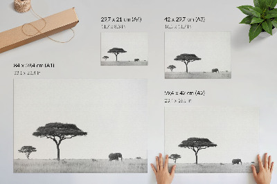 Kunstdruck poster Elefanten und Akazien in der Savanne in einem subtilen Spektrum