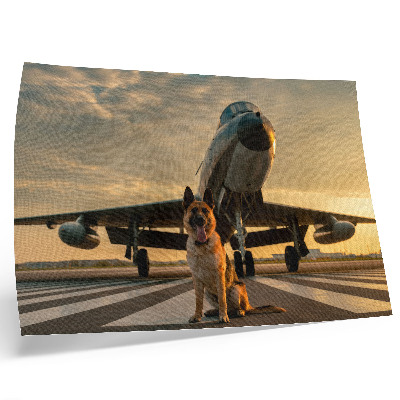 Poster Hund und Flugzeug im Sonnenuntergang – ein einzigartiger Anblick