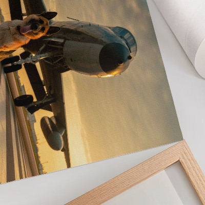 Poster Hund und Flugzeug im Sonnenuntergang – ein einzigartiger Anblick