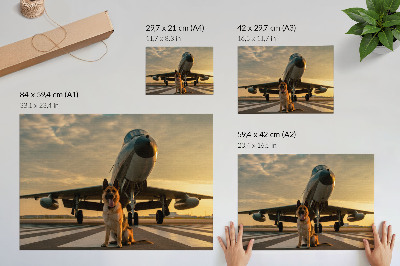 Poster Hund und Flugzeug im Sonnenuntergang – ein einzigartiger Anblick