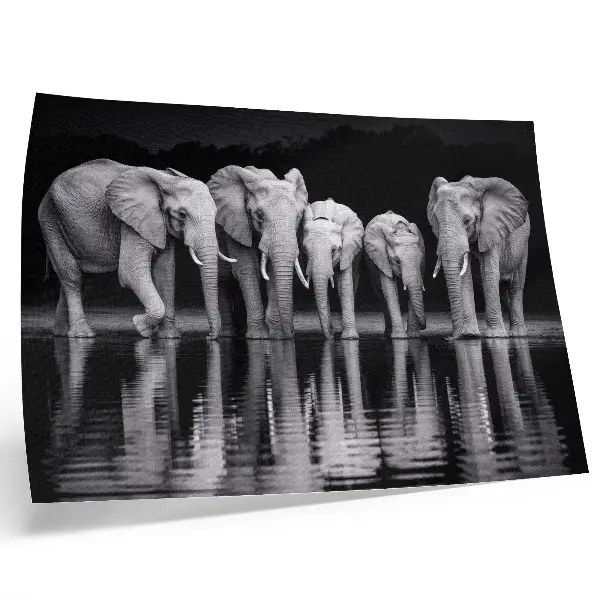 Kunstdruck Elefanten am Wasser friedliche Harmonie mit Spiegelung