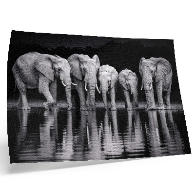 Poster kunstdruck Elefanten am Wasser, friedliche Harmonie und Spiegelung