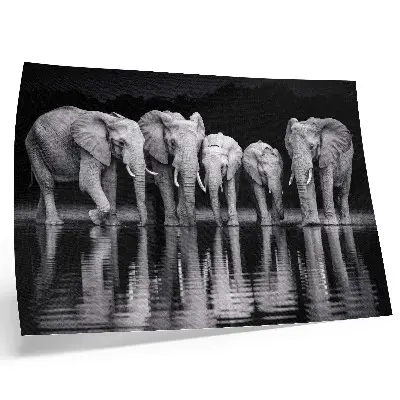 Kunstdruck Elefanten am Wasser friedliche Harmonie mit Spiegelung