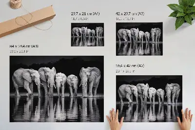 Kunstdruck Elefanten am Wasser friedliche Harmonie mit Spiegelung