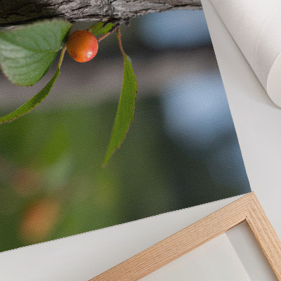 Poster kunstdruck Orangefarbene Früchte, grüne Blätter, braune Rinde