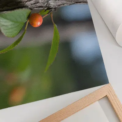 Kunstdruck Poster orangefarbene Früchte mit grünen Blättern und brauner Rinde