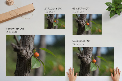 Poster kunstdruck Orangefarbene Früchte, grüne Blätter, braune Rinde