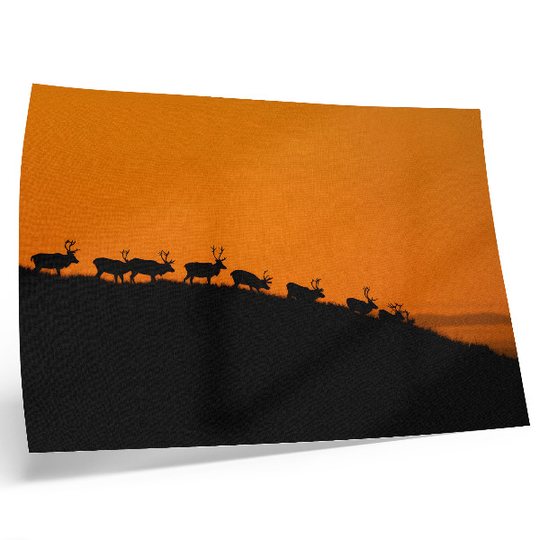 Kunstdruck poster Silhouetten von Hirschen auf einem Hügel vor orangefarbenem Hintergrund