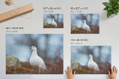 Poster kunstdruck Ein weißer Vogel in winterlicher Umgebung