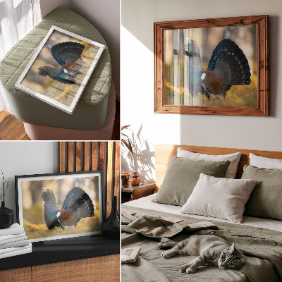 Kunstdruck poster Wunderschöner Vogel im Wald, mit ausgebreitetem Schwanz, Farbe