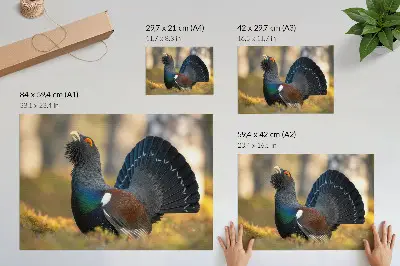 Kunstdruck Poster wunderschöner Vogel im Wald mit ausgebreitetem Schwanz, farbig