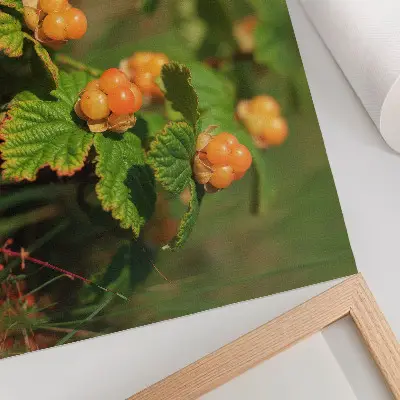 Poster mit grünen Blättern und orangen Früchten für einen natürlichen Charme