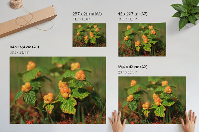 Poster Grüne Blätter, orange Früchte, natürlicher Charme