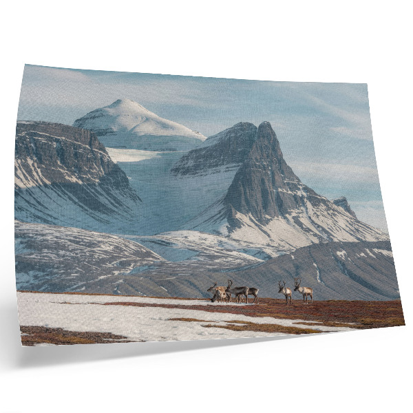 Kunstdruck poster Malerische Berge, friedliche Rentiere, Winterlandschaft