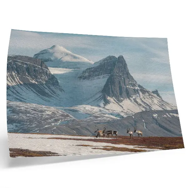 Kunstdruck Poster mit malerischen Bergen, friedlichen Rentieren und einer Winterlandschaft