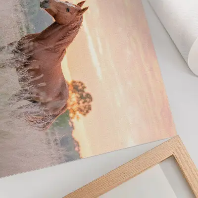 Kunstdruck als Poster Pferd auf der Wiese am Morgen in Pastellfarben für eine entspannte Atmosphäre