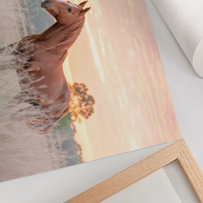 Poster kunstdruck Pferd auf der Wiese am Morgen, Pastellfarben, Entspannung