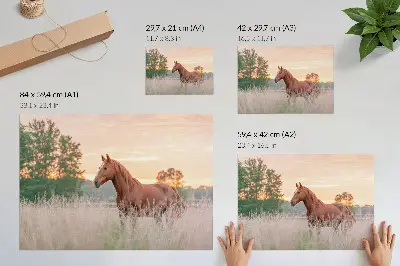Kunstdruck als Poster Pferd auf der Wiese am Morgen in Pastellfarben für eine entspannte Atmosphäre