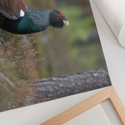Poster kunstdruck Vogelfarben, Wald, Natur, friedliche Atmosphäre