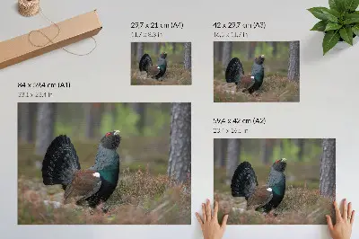 Kunstdruck Poster mit Waldmotiv in friedlicher Natur mit Vogelfarben