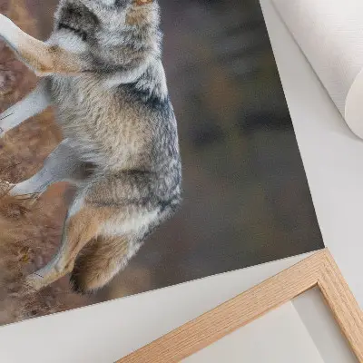 Poster Wolf in Bewegung in einer wilden Naturlandschaft