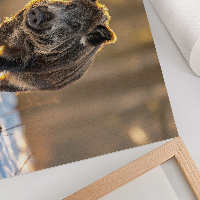 Poster Ein Wildschwein vor winterlicher Kulisse, umgeben von Sonnenlicht