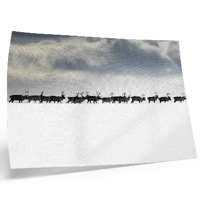 Kunstdruck Rentiere im Schnee mit dem Motiv Stille und Weite