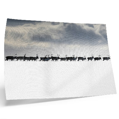Poster kunstdruck Rentiere im Schnee, Stille und Weite