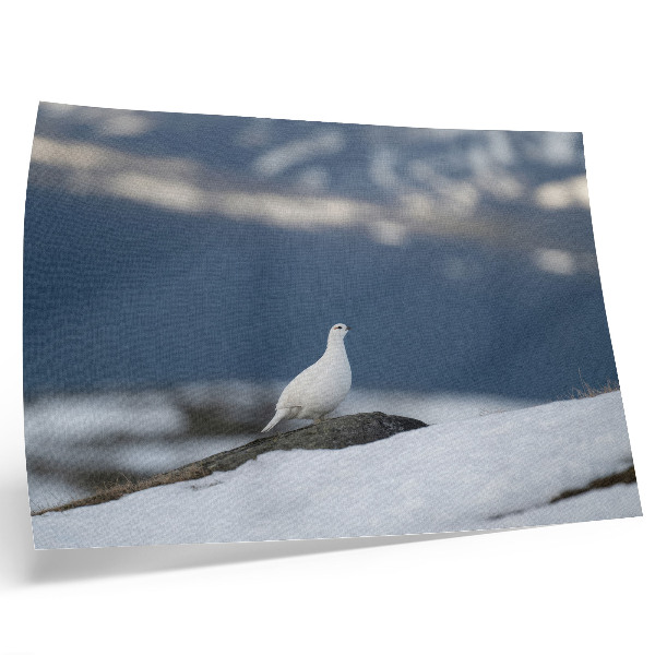 Poster Vogel im Schnee, sanfte Winterlandschaft
